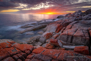 sunrise Bay of Fires