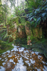 boulders beside the Cascade River north east Tasmania