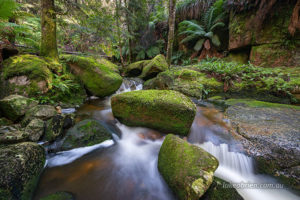 Cascade River north east Tasmania